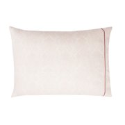 SET OF 2 PILLOWS CASES Paisley