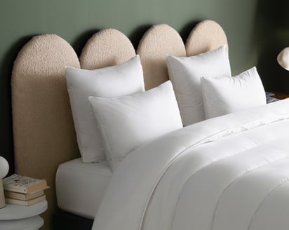OREILLER EDEN Enveloppe Coton Bio · Moelleux