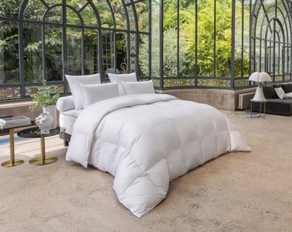 COMFORTER Place de la Concorde