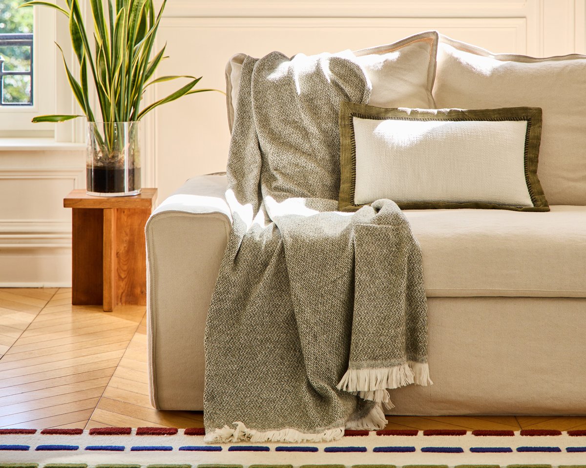 PLAID Briac · Treillis