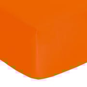 FITEED SHEET Vexin · Epices