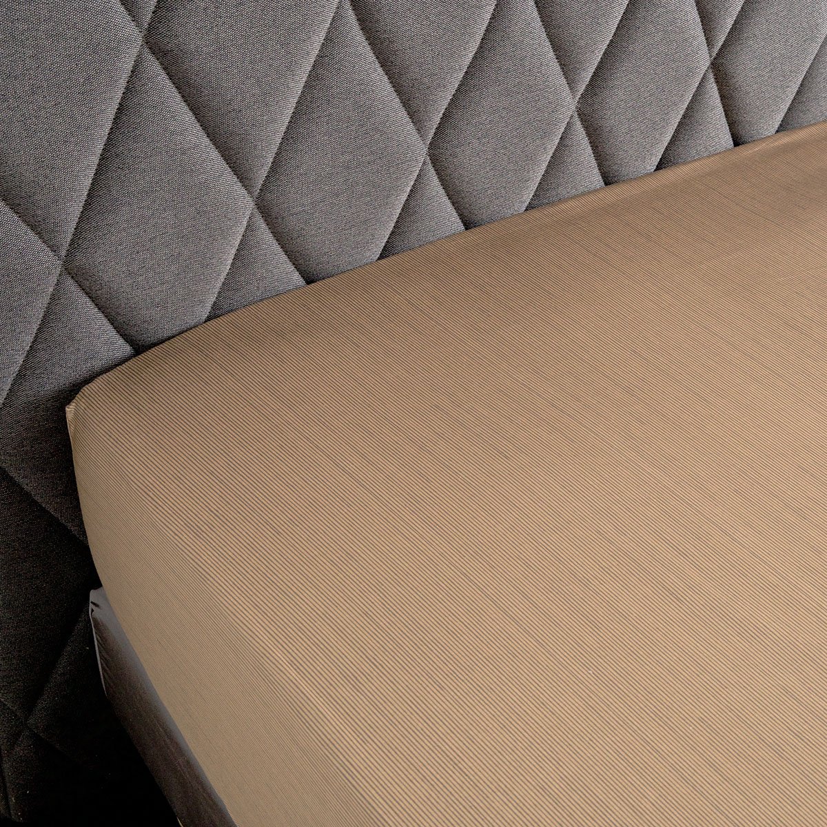 DRAP HOUSSE Ambre nuit