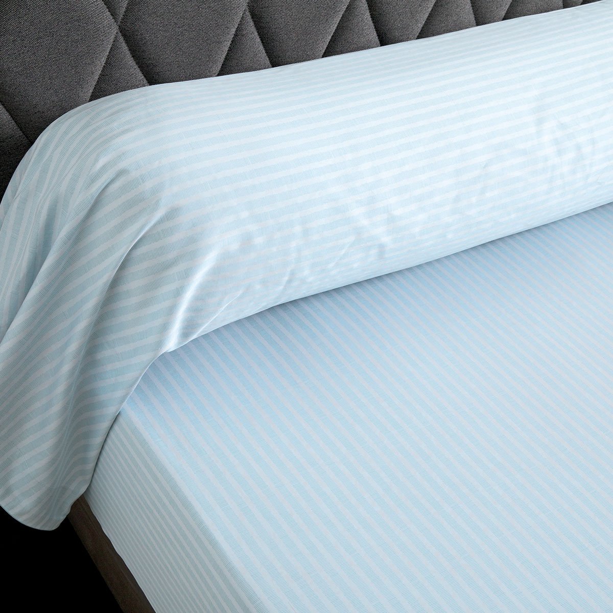 TAIE DE TRAVERSIN Conte