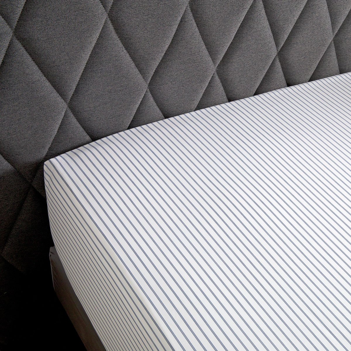 FITTED SHEET Galante