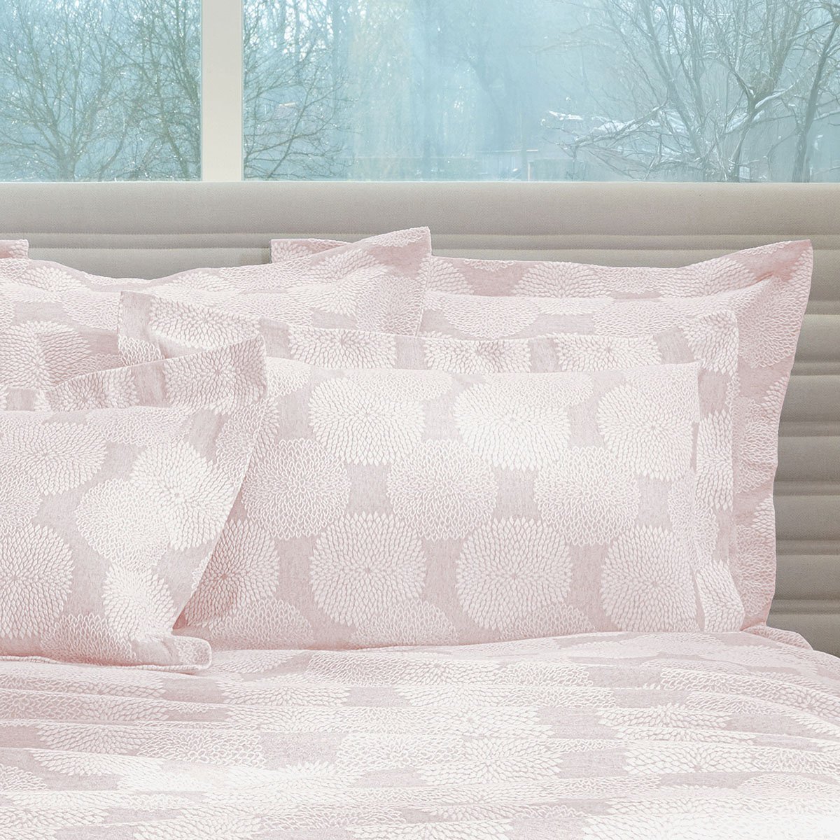 EURO SHAM Dahlia · Rose