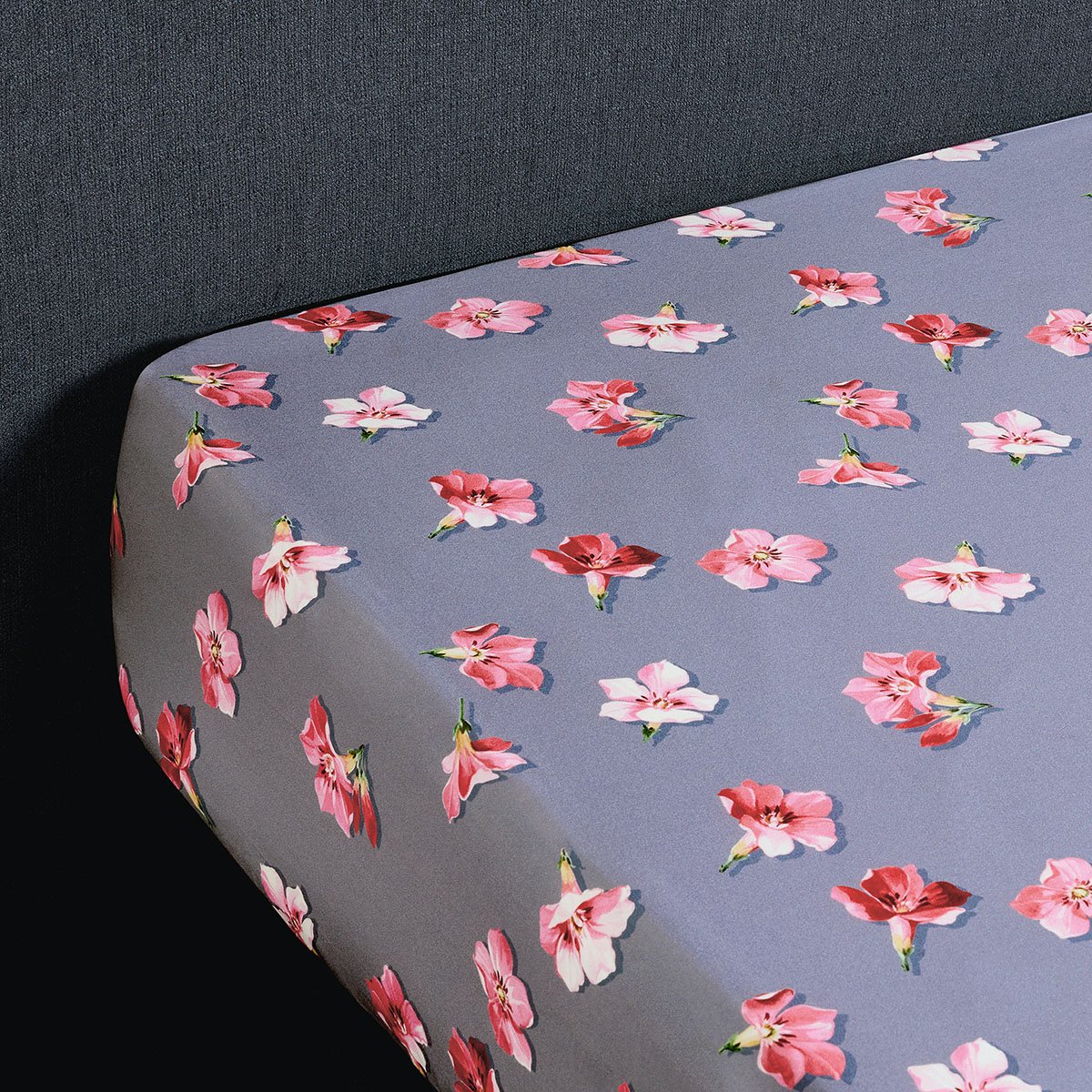 DRAP HOUSSE Eugénie