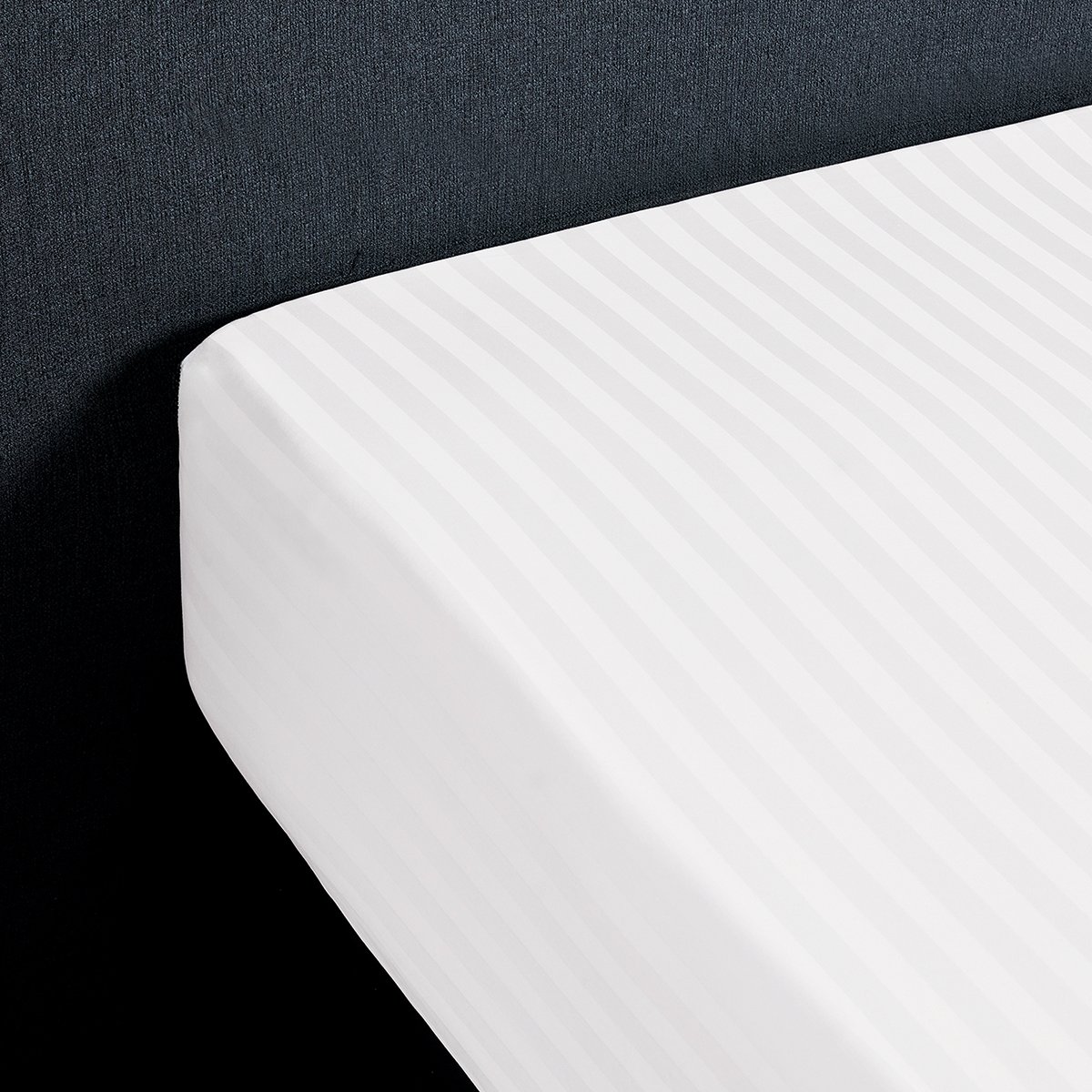 FITTED SHEET La suite