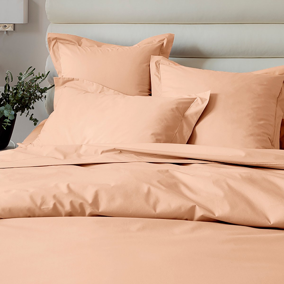 FLAT SHEET Vexin · Fleur de cerisier