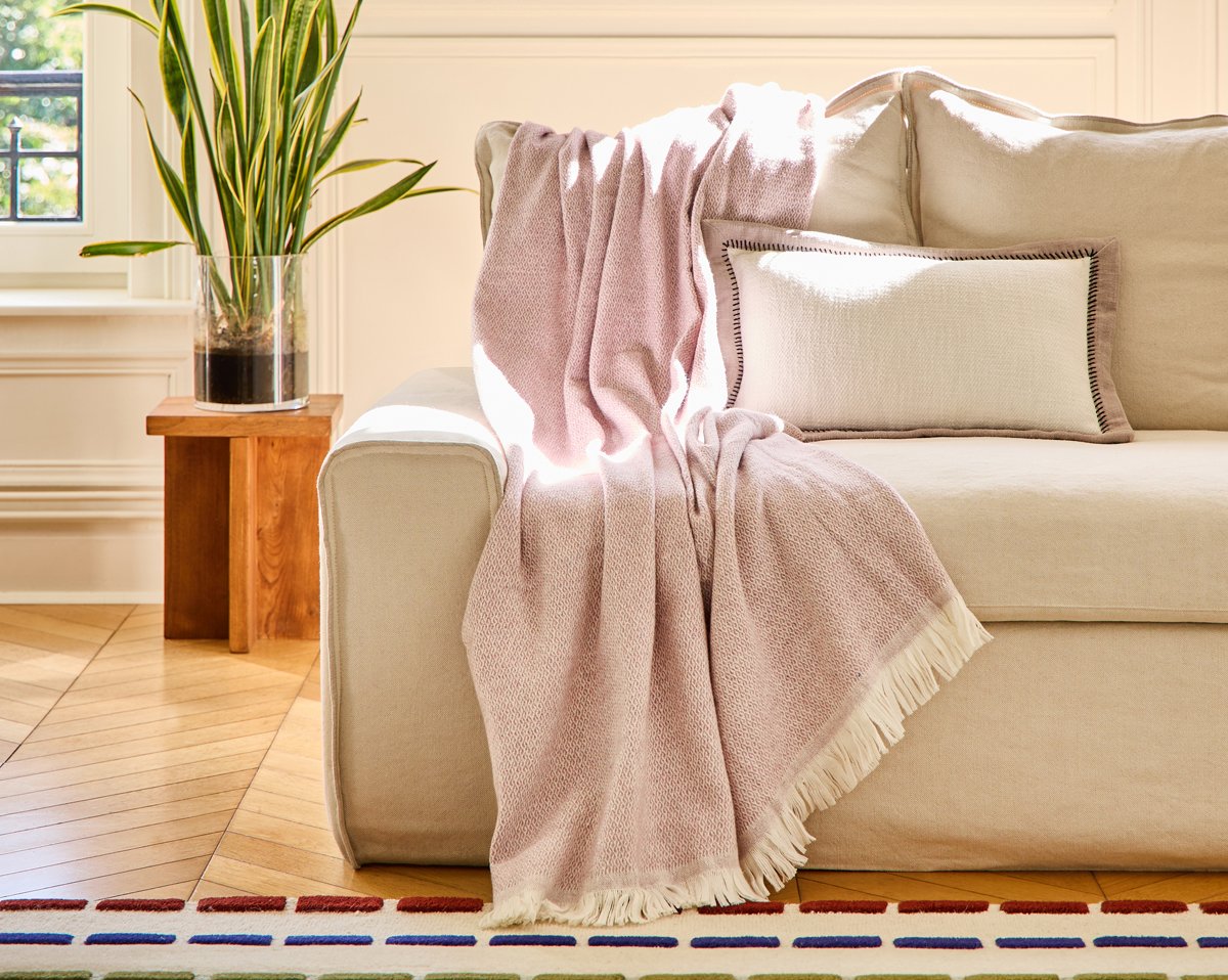 PLAID Briac · Lilas