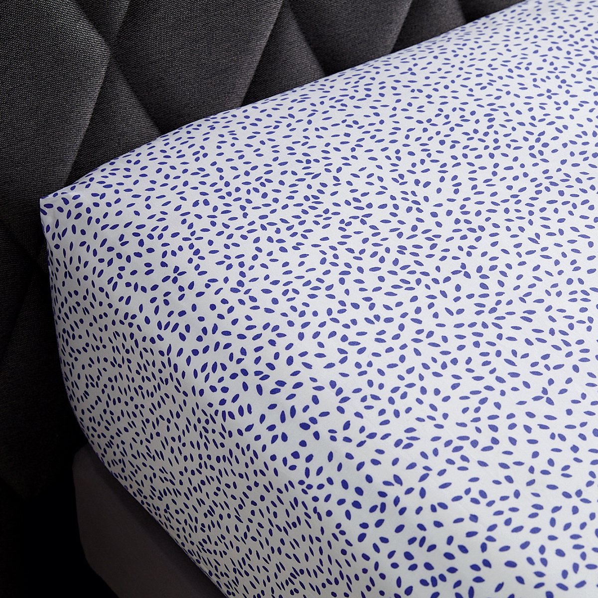 FITTED SHEET Égérie