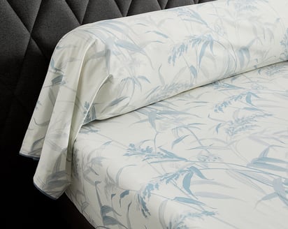 TAIE DE TRAVERSIN Estampe