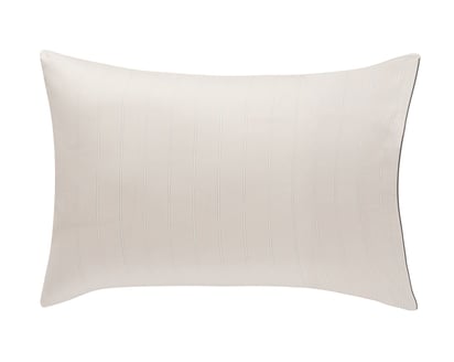 SET OF 2 PILLOWCASES Journey