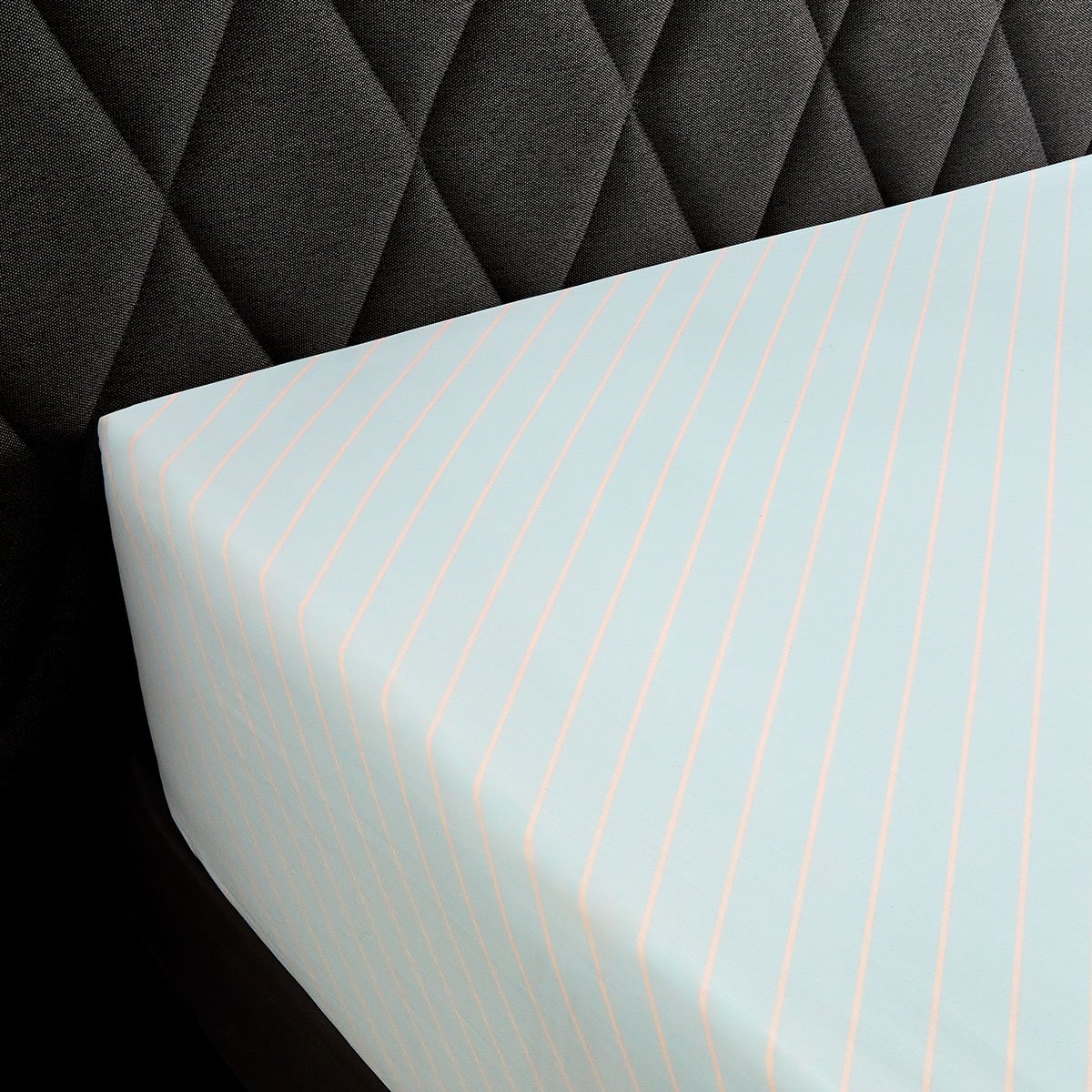 DRAP HOUSSE Post Card