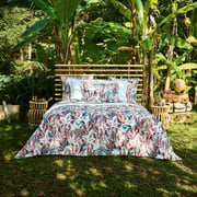 HOUSSE DE COUETTE Post Card