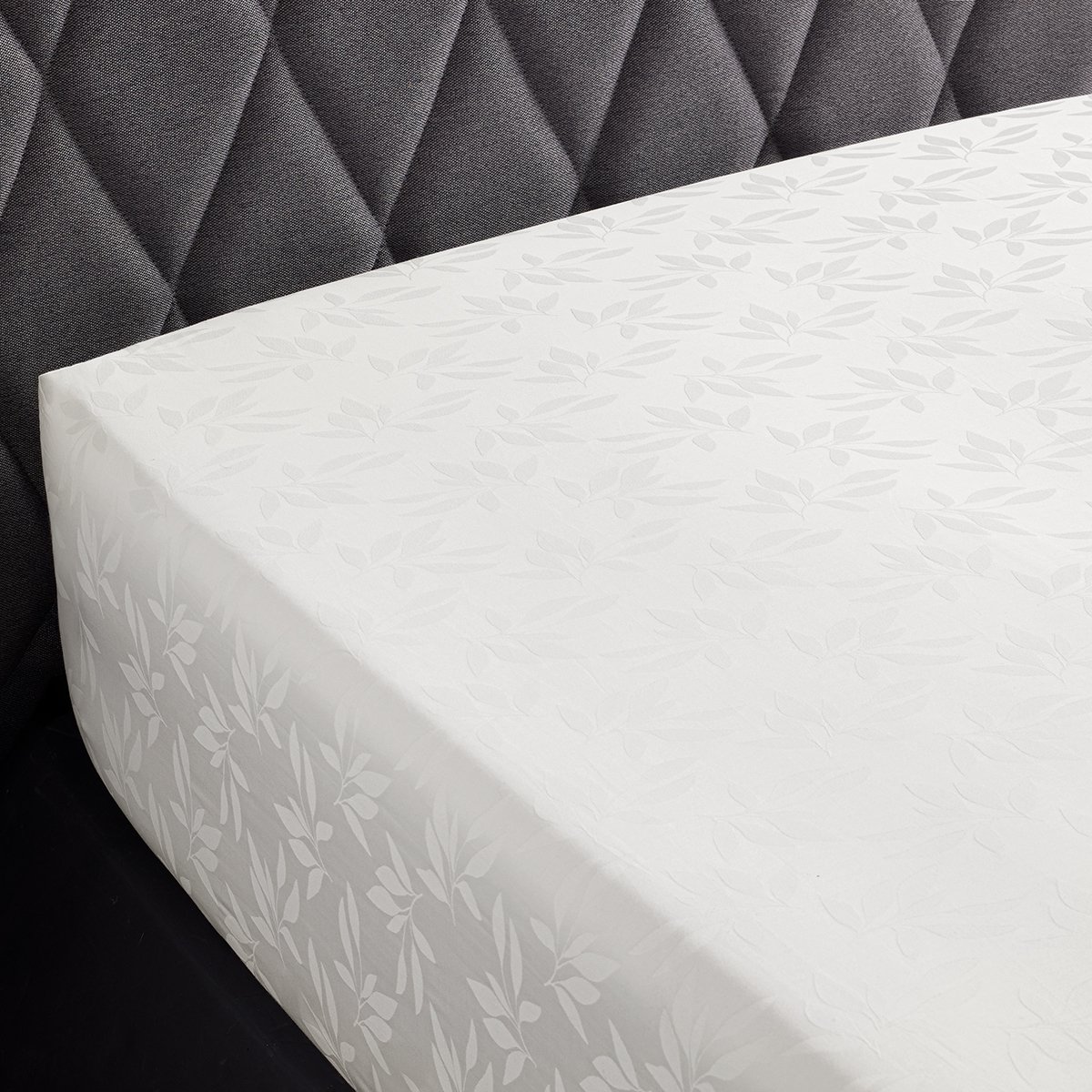 FITTED SHEET Cristal