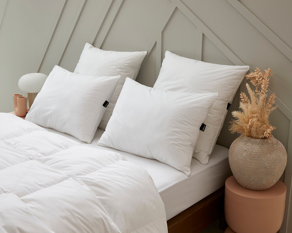 OREILLER Esprit Duvet · Ferme
