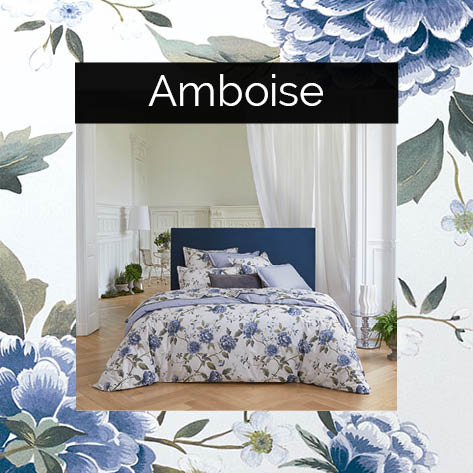 Amboise