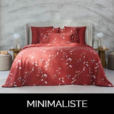 Minimaliste