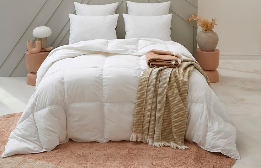 Collection AUTOMNE/HIVER 2025